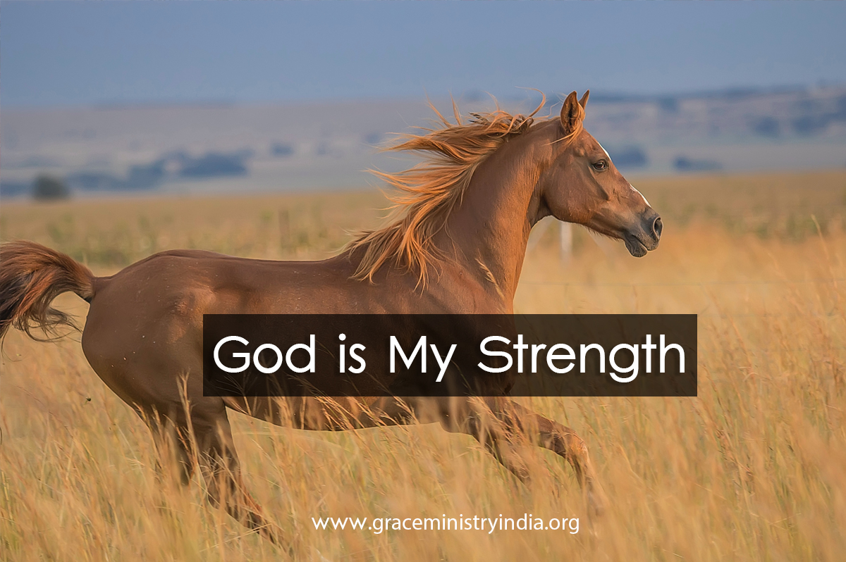 Begin your day right with Bro Andrews life-changing online daily devotional "God is my Strength" read and Explore God's potential in you. 